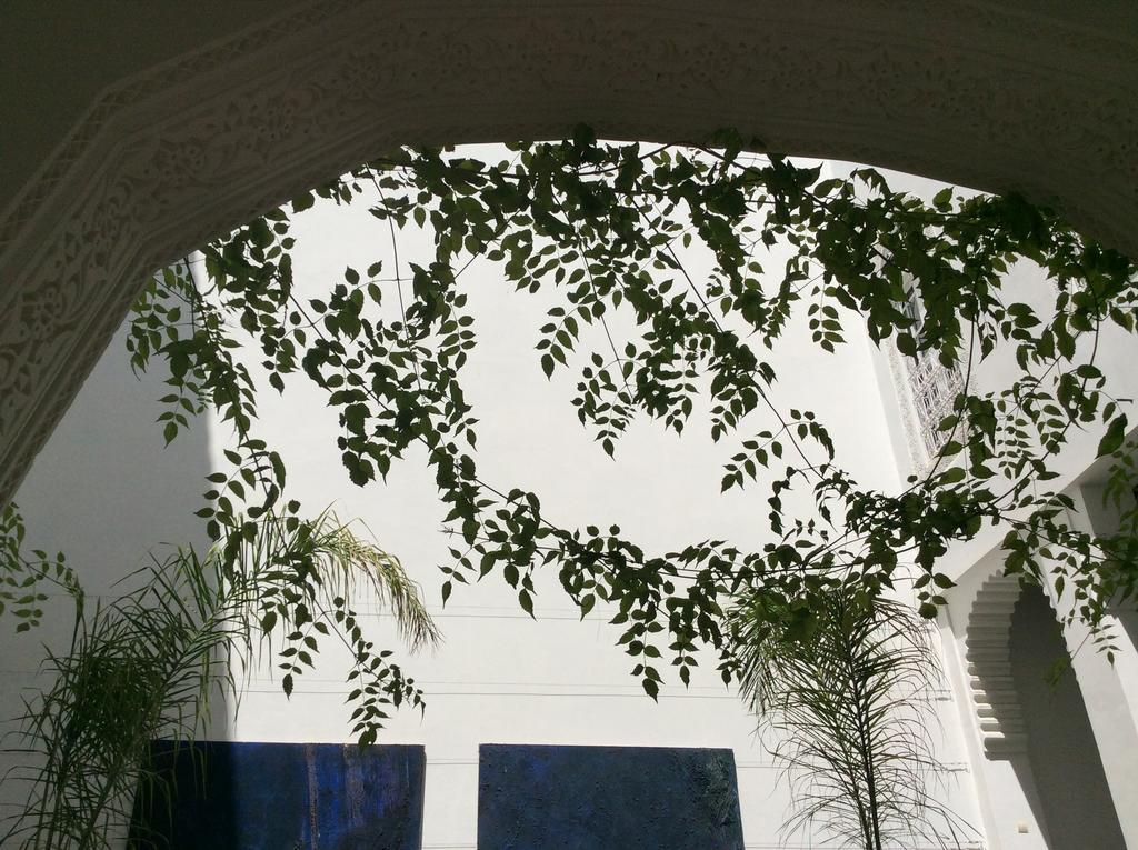 Riad Blanc De Fes Exterior photo