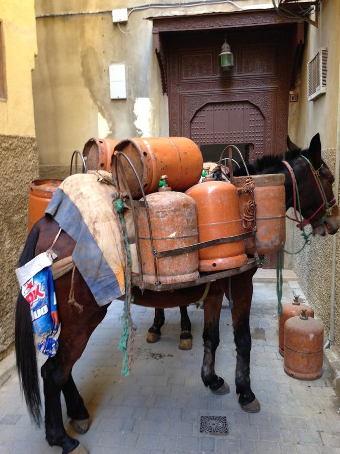 Riad Blanc De Fes Exterior photo