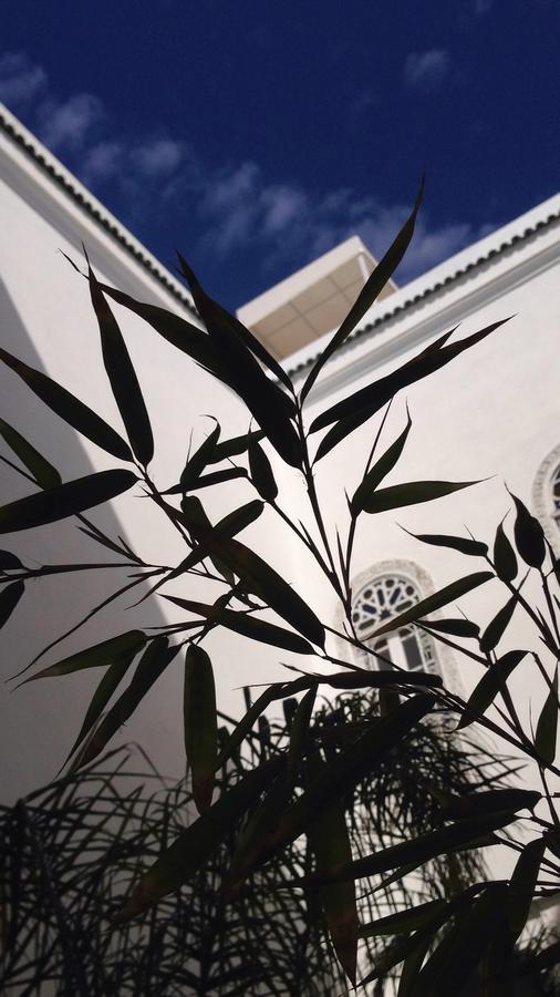 Riad Blanc De Fes Exterior photo